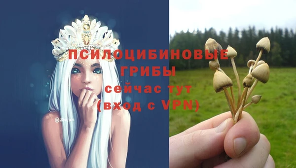PSILOCYBIN Семилуки