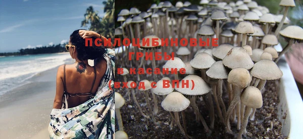 PSILOCYBIN Семилуки