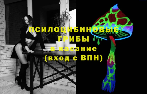 прущие грибы Семёнов