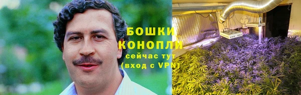 PSILOCYBIN Семилуки
