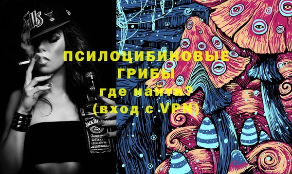 прущие грибы Семёнов