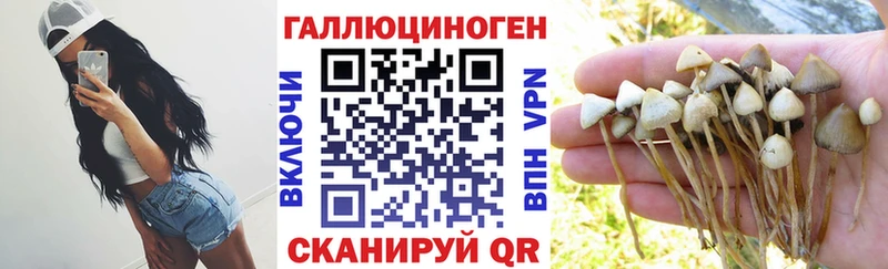 Галлюциногенные грибы MAGIC MUSHROOMS Судак