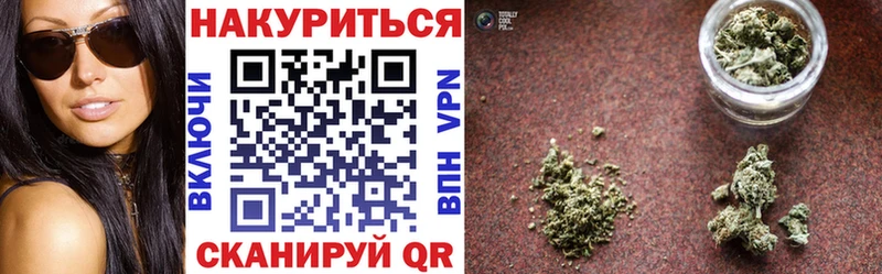Конопля план  закладка  Судак 